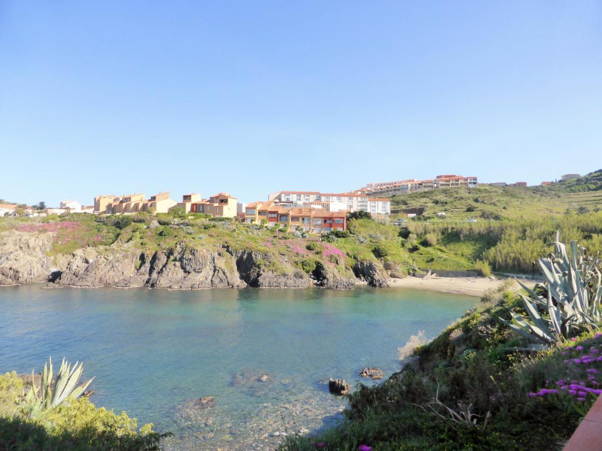 2Rb38A Appartement Vue Sur Mer Et Proche Plage Collioure Kültér fotó